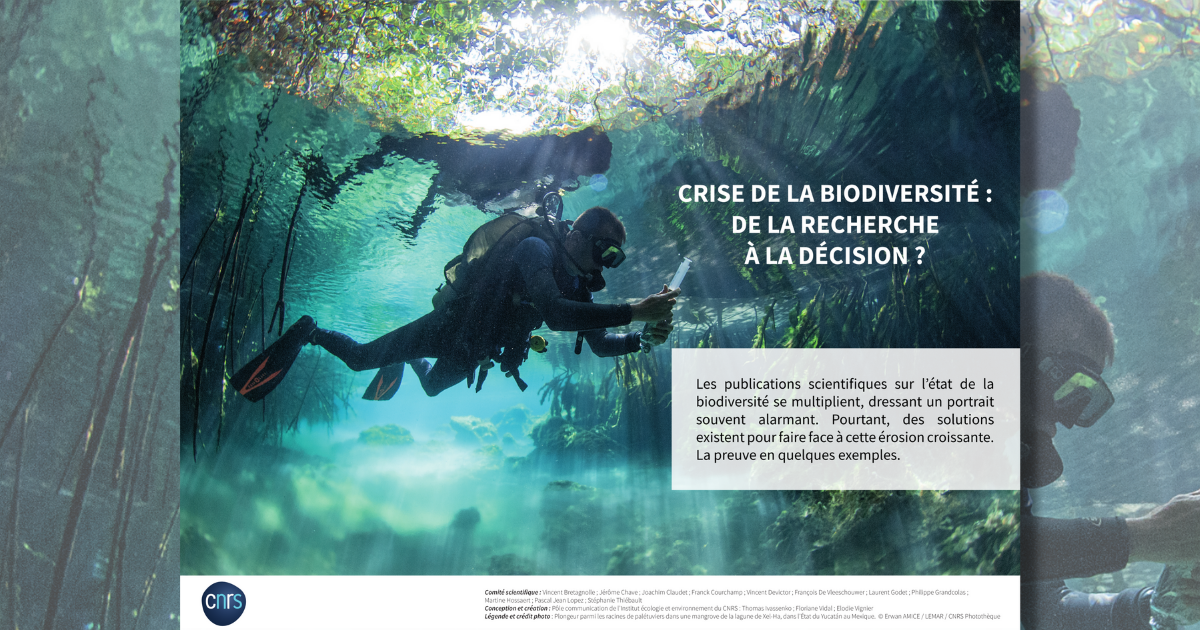 Expo-CNRS-biodiversite-1