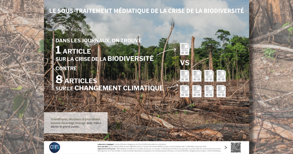 Expo-CNRS-biodiversite-10