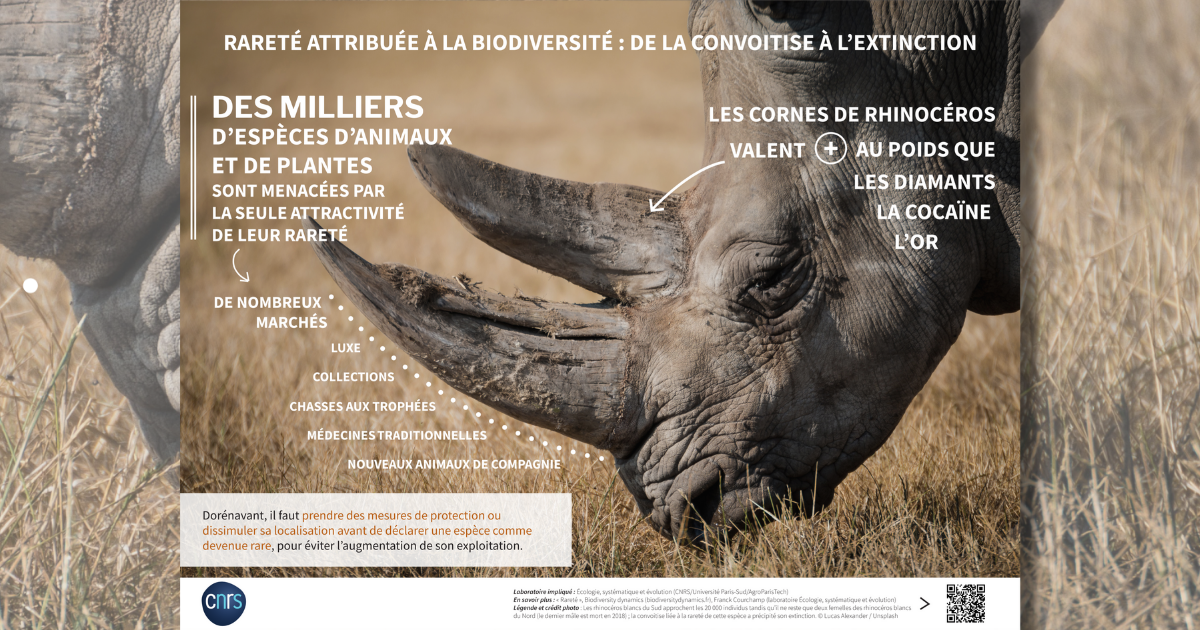 Expo-CNRS-biodiversite-11