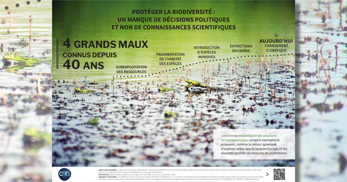 Expo-CNRS-biodiversite-4