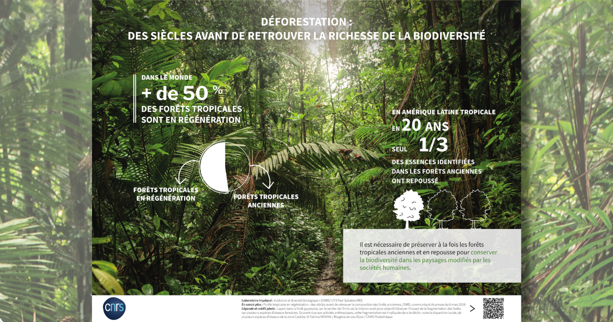 Expo-CNRS-biodiversite-5